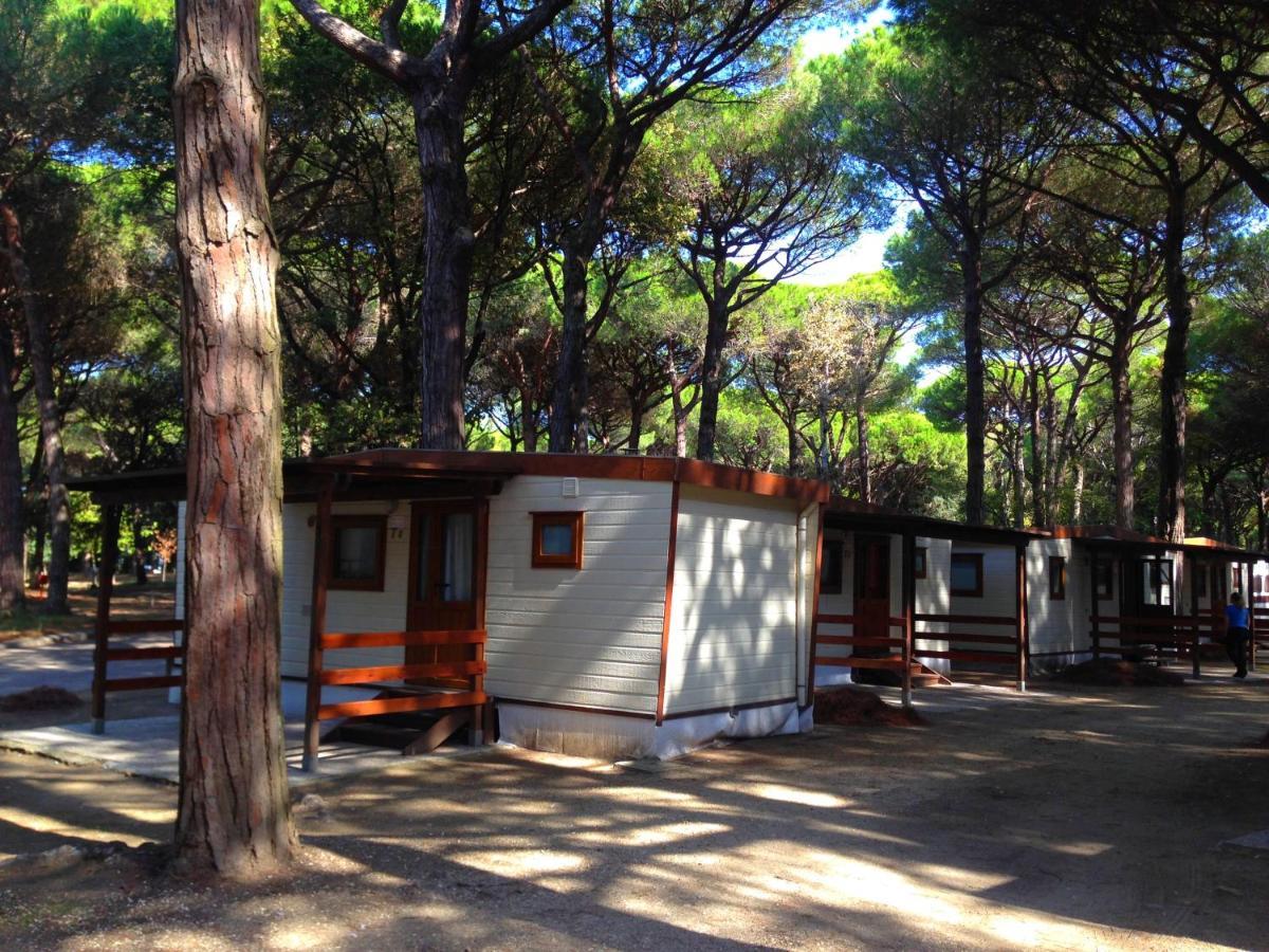 Buona Mobile Homes On Camping Mare E Pineta ليدو دي سبينا المظهر الخارجي الصورة