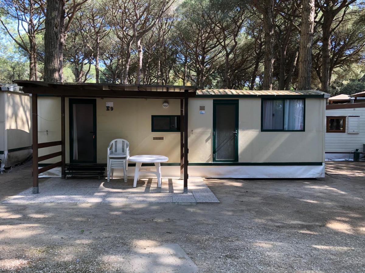 Buona Mobile Homes On Camping Mare E Pineta ليدو دي سبينا المظهر الخارجي الصورة