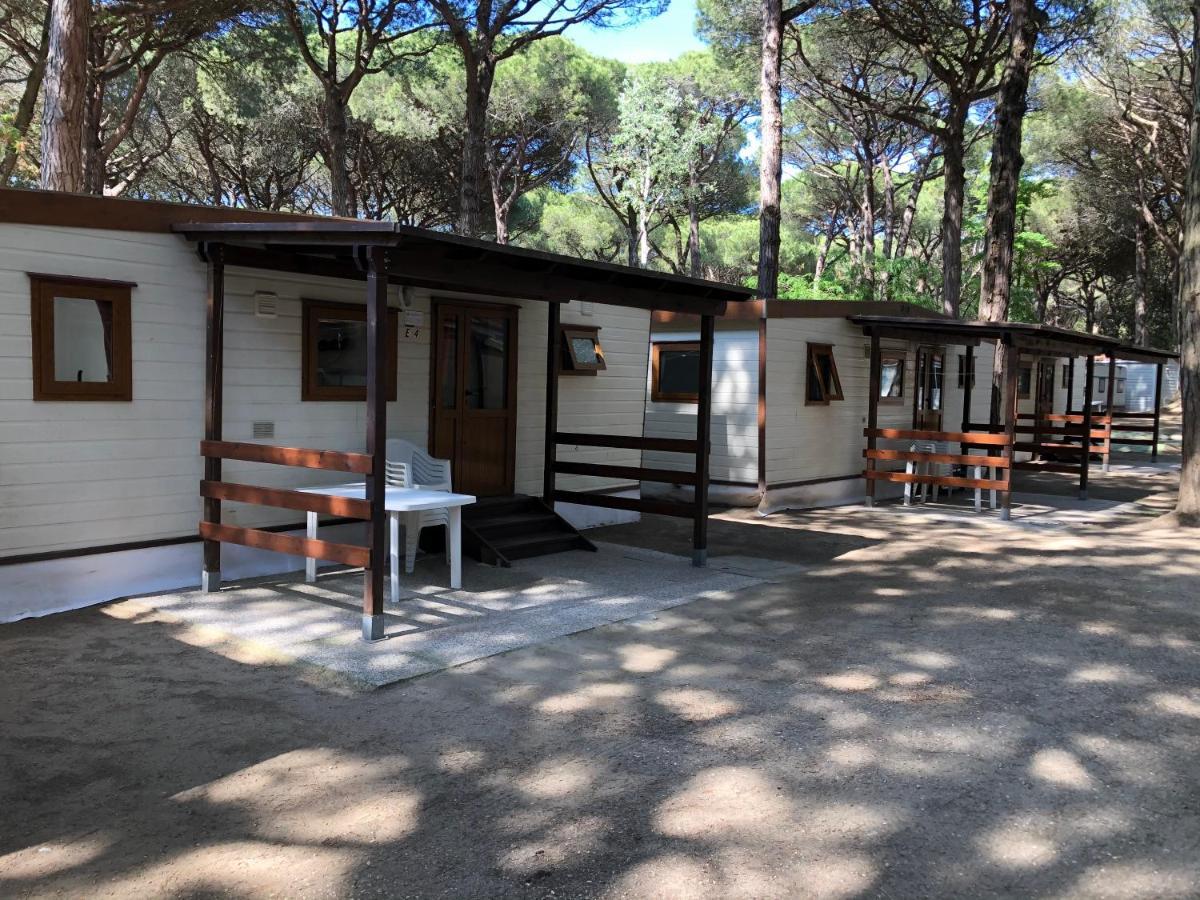 Buona Mobile Homes On Camping Mare E Pineta ليدو دي سبينا المظهر الخارجي الصورة
