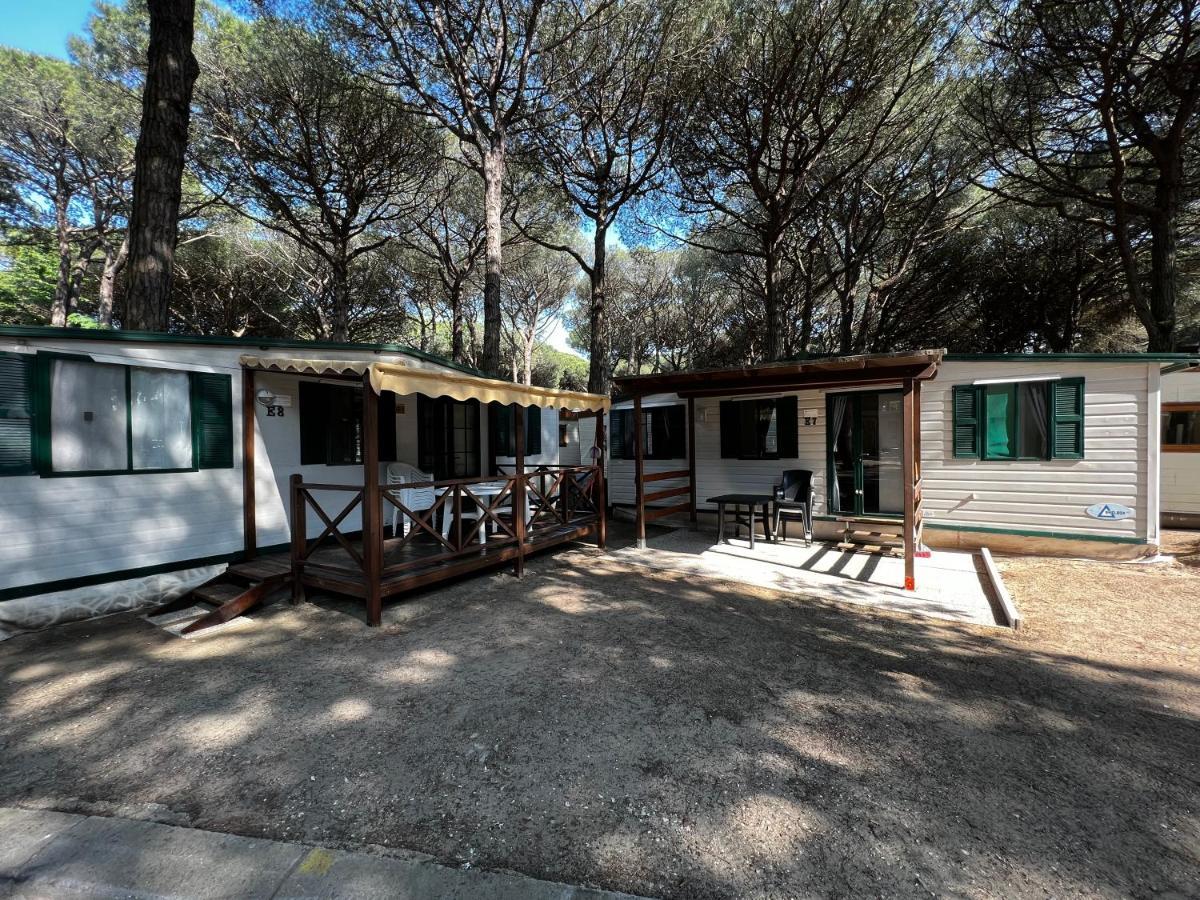 Buona Mobile Homes On Camping Mare E Pineta ليدو دي سبينا المظهر الخارجي الصورة