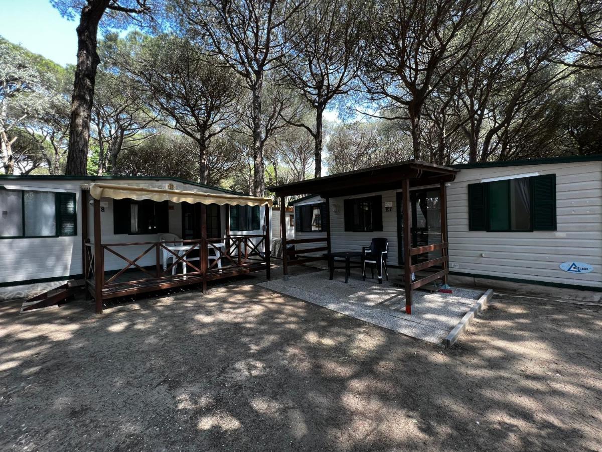 Buona Mobile Homes On Camping Mare E Pineta ليدو دي سبينا المظهر الخارجي الصورة
